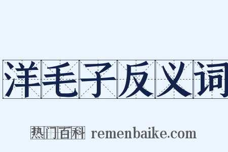 洋毛子反义词是什么意思的图片